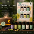 6 Pack of Aromatherapy Essential Oils